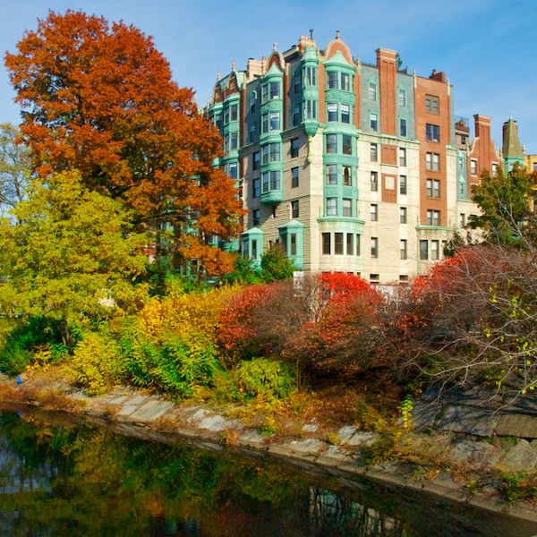 November Foliage in the Heart of Boston BostonZest