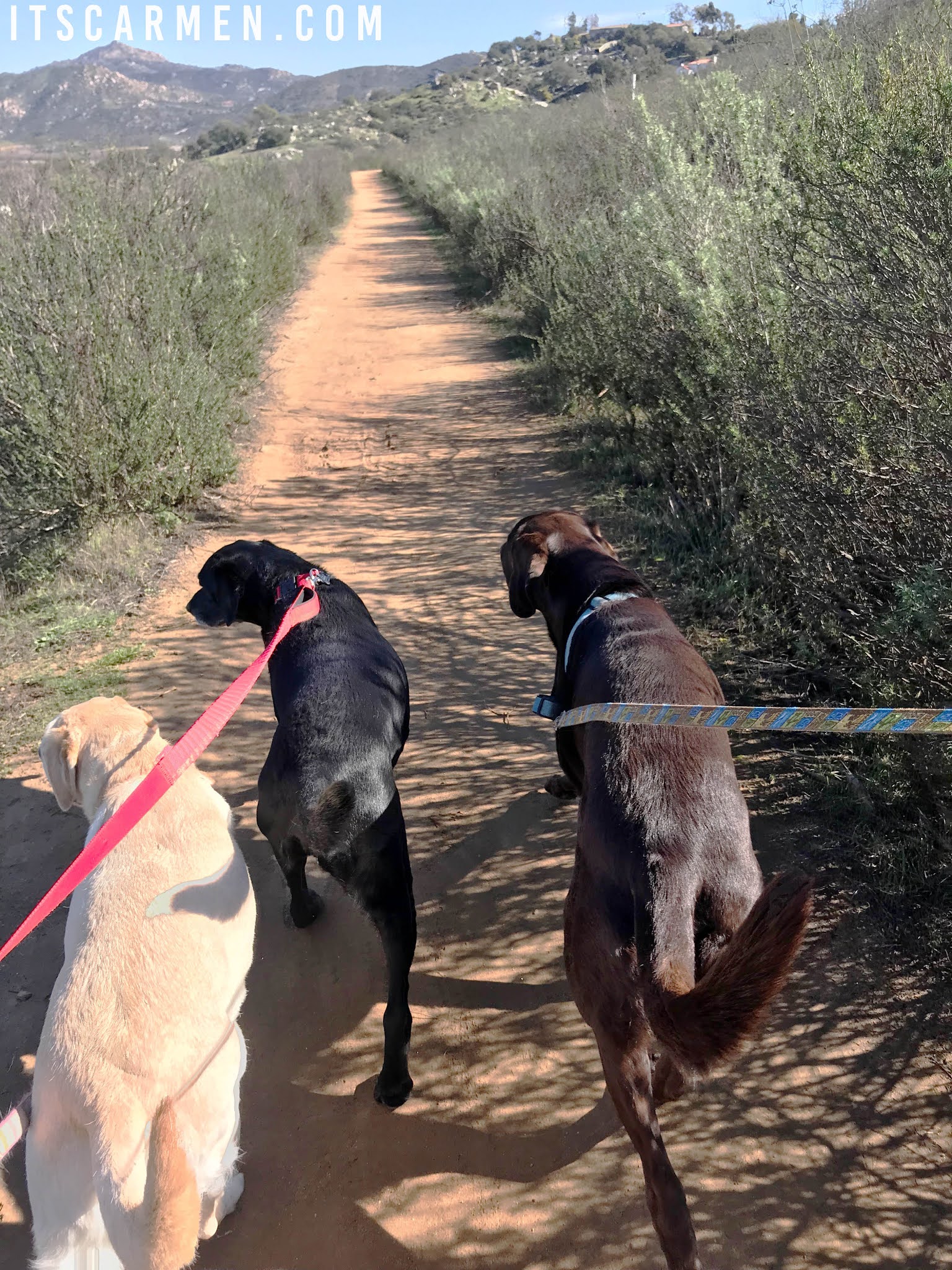 Things to Do in North County San Diego, California / Carmen Varner